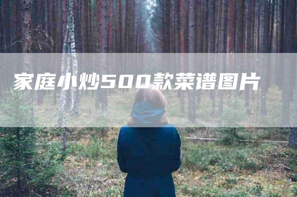 家庭小炒500款菜谱图片