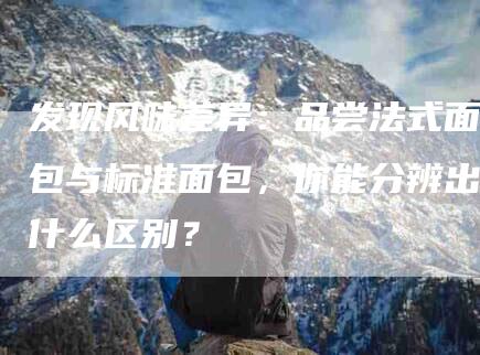 发现风味差异：品尝法式面包与标准面包，你能分辨出什么区别？