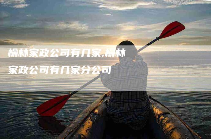 榆林家政公司有几家,榆林家政公司有几家分公司