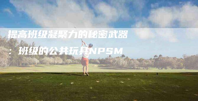 提高班级凝聚力的秘密武器：班级的公共玩具NPSM