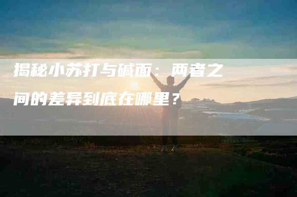 揭秘小苏打与碱面：两者之间的差异到底在哪里？