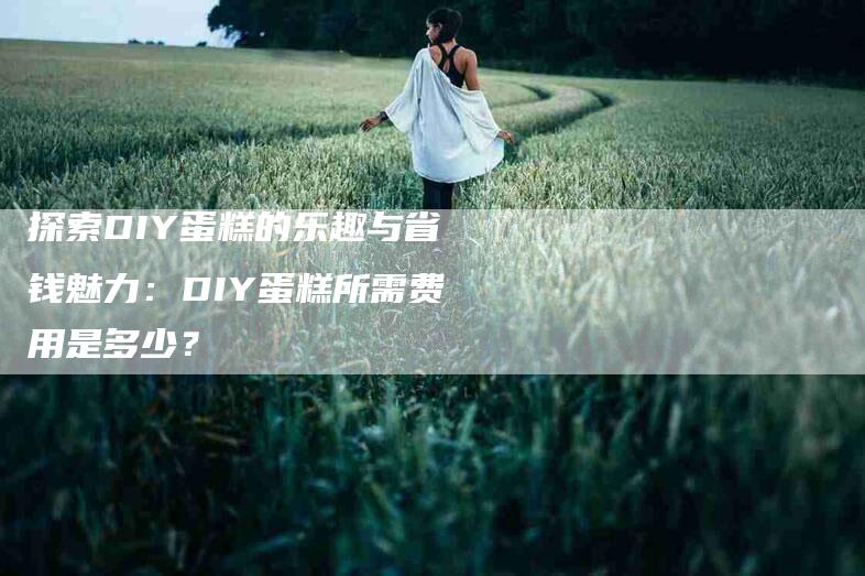 探索DIY蛋糕的乐趣与省钱魅力：DIY蛋糕所需费用是多少？